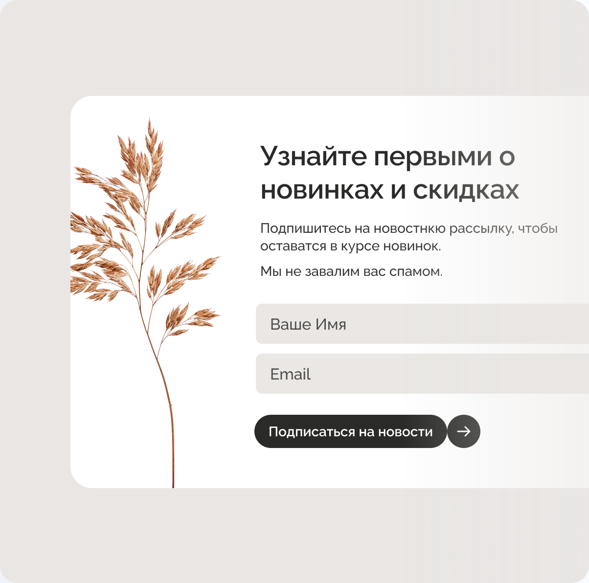 Подписка на рассылку - websecret.by
